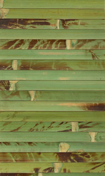 Bambusz szerkezete — Stock Fotó