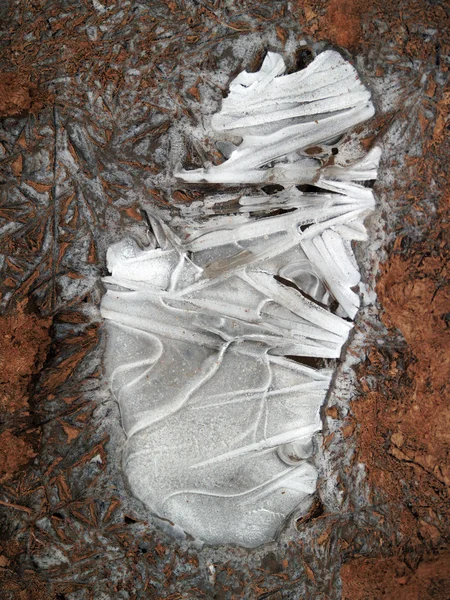自然な氷の芸術 — ストック写真