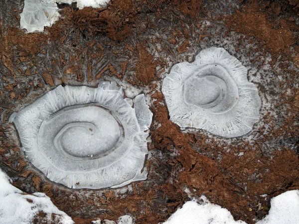 自然な氷の形状 — ストック写真