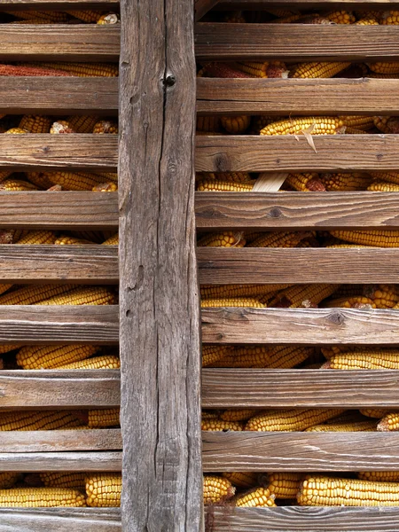Kukuřice stodola — Stock fotografie