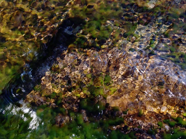 Скалы под водой — стоковое фото