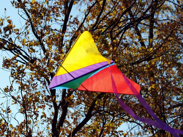 Colorful kite — Stock Photo, Image