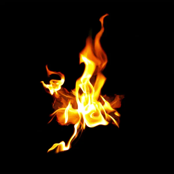 Red Maple leaf on fire — Stock Photo, Image