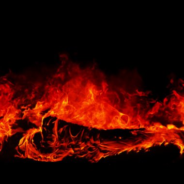 Wild fire closeup clipart