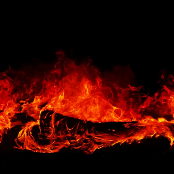 Wild fire closeup — Stock Photo, Image