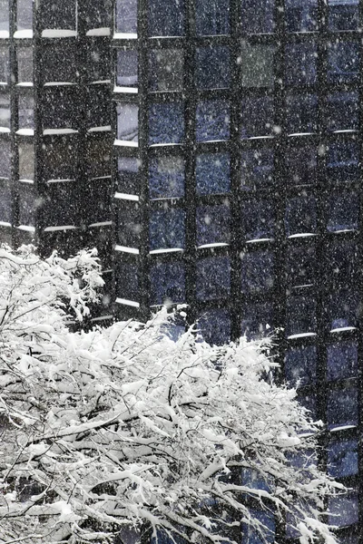 Snöstorm i en stad — Stockfoto