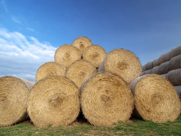 Bales of hay and straw — Stock Photo, Image