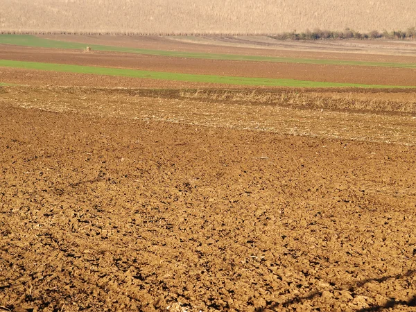 stock image Plowed fields