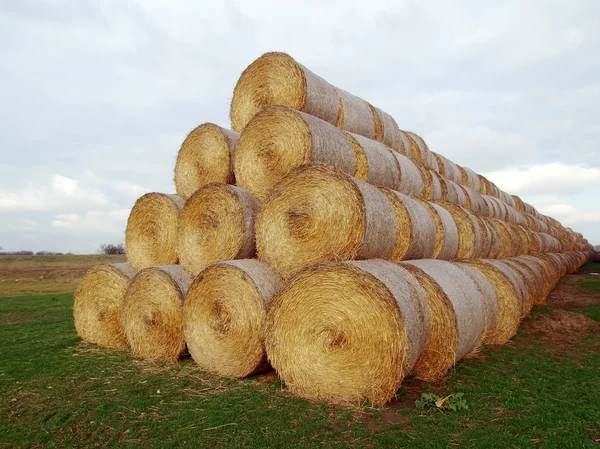 Many straw bales — Stock Photo, Image