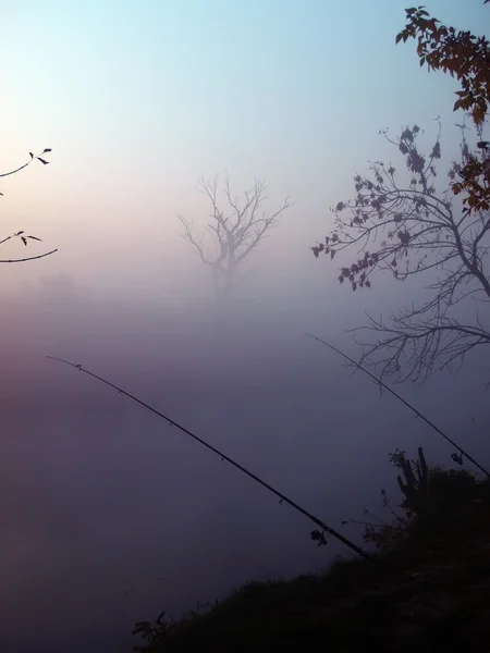 Stock image Silhouette of two fishing rods