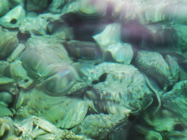 Groene rotsige zeebodem difracted water — Stockfoto