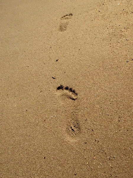 Footprints in beach sand Royalty Free Stock Images