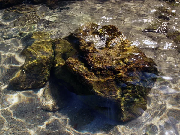 Stein i grunt, gjennomsiktig hav – stockfoto
