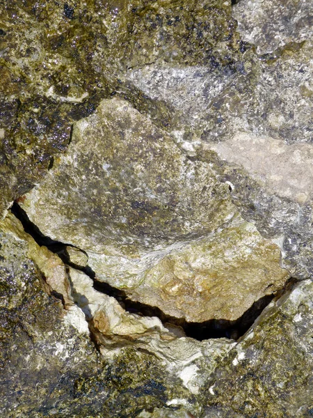 海の水で覆われた岩のテクスチャ — ストック写真