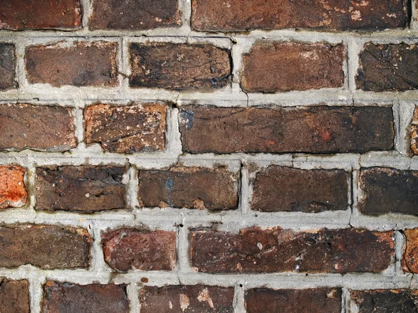 Brick wall close up — Stock Photo, Image