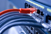 Informační technologie počítačové sítě, telekomunikační kabely Ethernet připojený k Internetu Switch, koncept datových Center