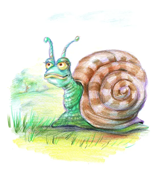 Fairy snail — Stock Photo, Image
