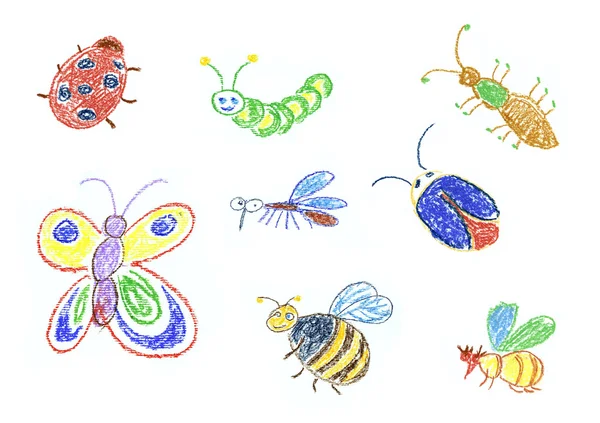 Différents insectes — Photo
