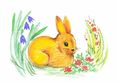 Drawing of rabbit clipart