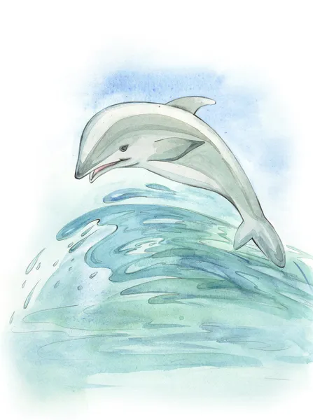Flying dolphin — Stock Photo, Image