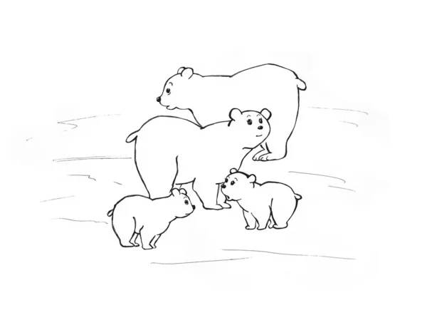 Αρκτικές αρκούδες — Φωτογραφία Αρχείου