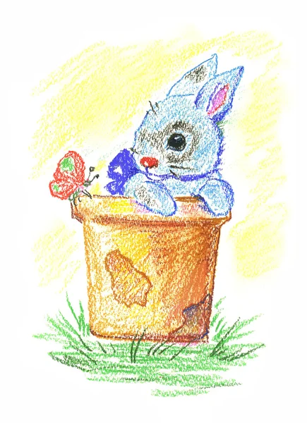 Little rabbit — Stock Photo, Image