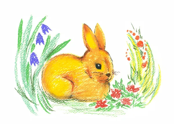 Desenho de coelho — Fotografia de Stock