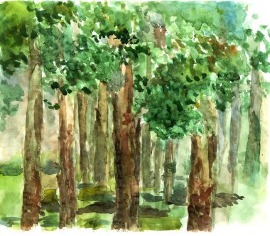 Shady grove watercolor clipart