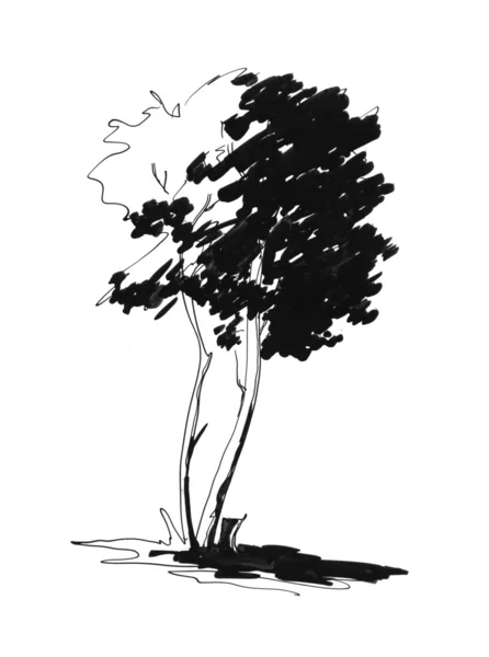 Schets van eenzame boom — Stockfoto