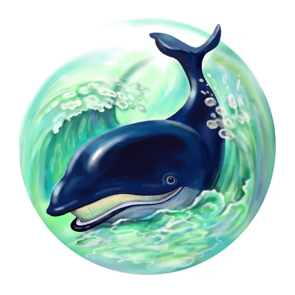 Balena azzurra — Foto Stock