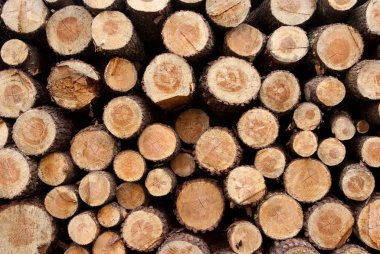 Detail of a Timber background clipart