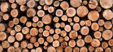 Timber background clipart