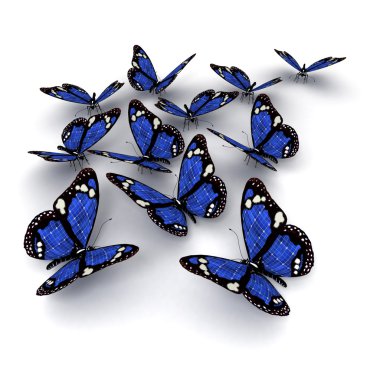 Blue butterflies clipart