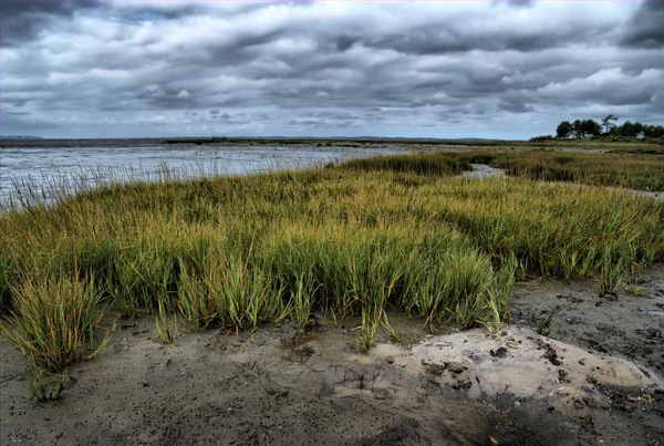 Stormy evening at low tide — Stock Photo, Image