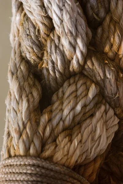 Товста мотузка морські — стокове фото