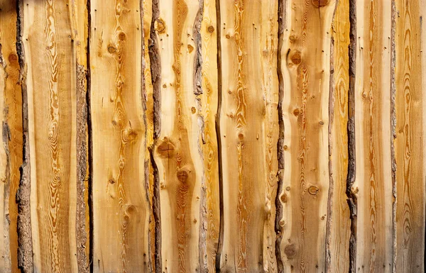 Wood palisade — Stock Photo, Image