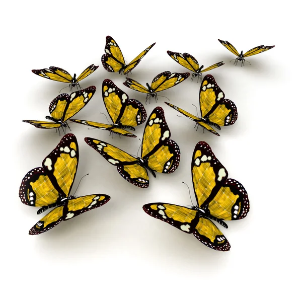 Sárga pillangók — Stock Fotó