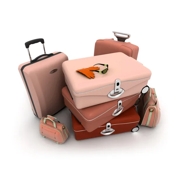 Elegancki bagażu — Zdjęcie stockowe