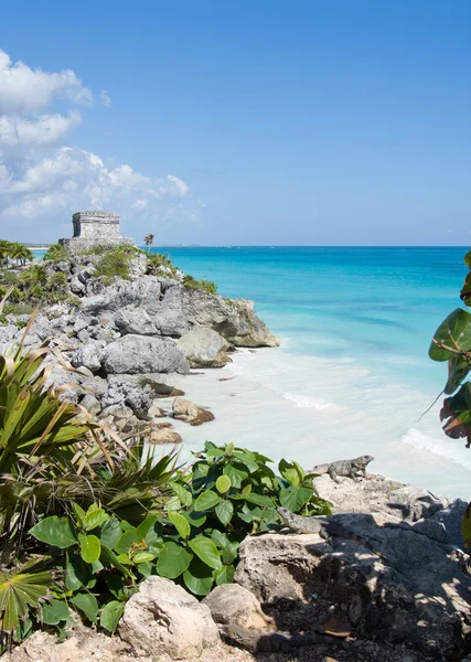 Tropická pláž s ruinami — Stock fotografie