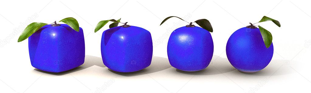 Blue citric fruit evolution