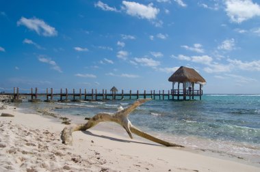 Beach with pier and driftwood clipart