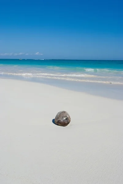 Kokosový ořech na pláži — Stock fotografie