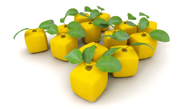 Groupe des oranges cubiques — Photo