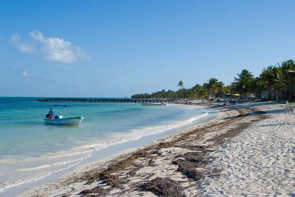 Caribbean shore — Stock Photo, Image