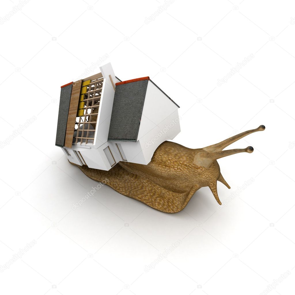 Snail with house