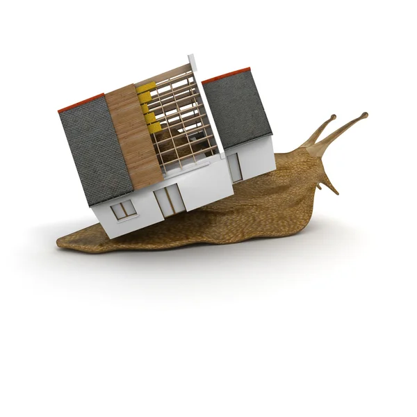 Huis van een slak — Stockfoto