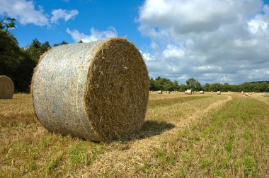 Wheat hay bale clipart