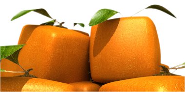 Futuristic oranges close-up clipart