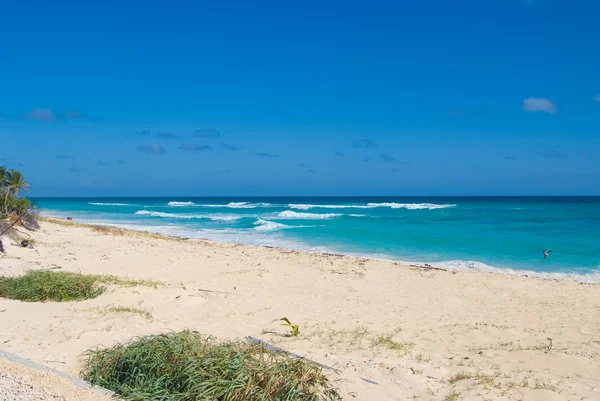 Deserted tropical beach — Stock Photo, Image