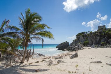 Mayan ruins and exotic beach clipart